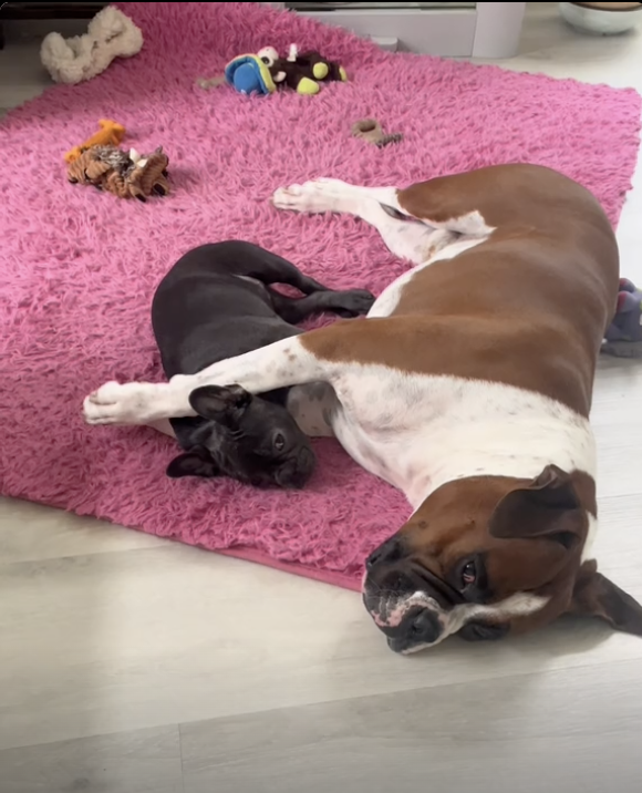 Big brother - Little sister